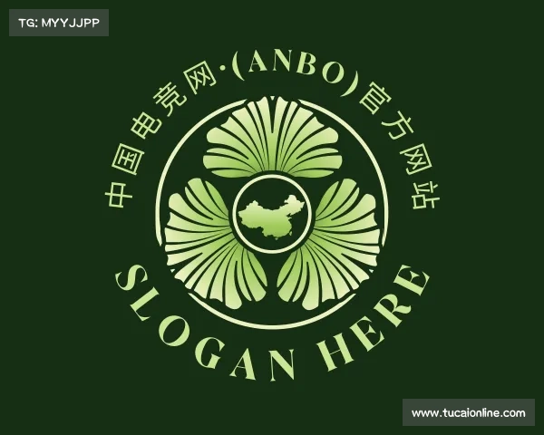 网址中国电竞网·(anbo)官方网站